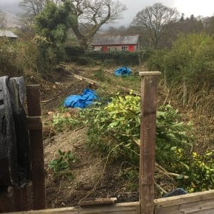 The Garden - Before