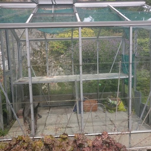 Our new (to us) greenhouse