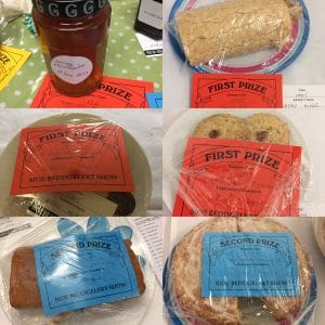 Village Show Successes