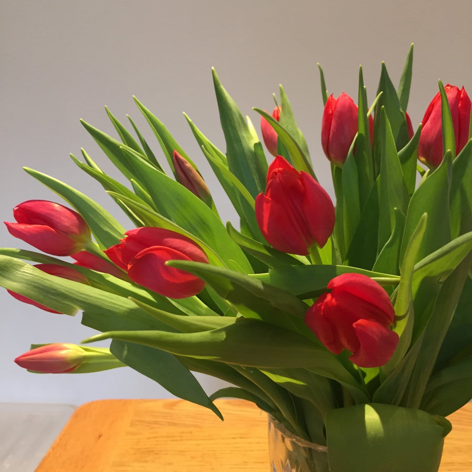 Red tulips