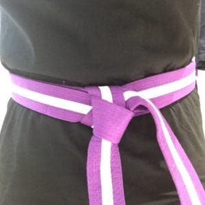 Purple Stripe Kickboxing Belt