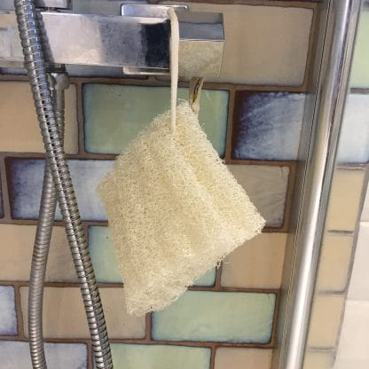 Loofah in shower