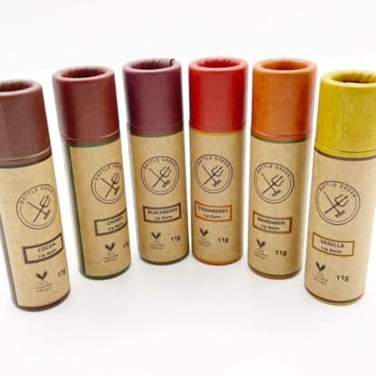 Group of six lip balm varieties