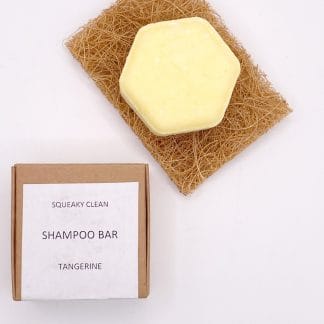 Solid shampoo bar and its box