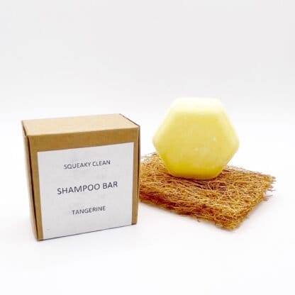 Solid Shampoo Bar - Tangerine
