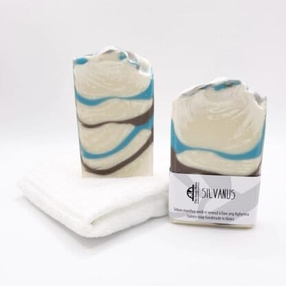 Two Bars of Brown and Blue handmade soap